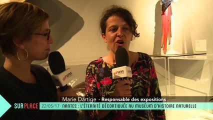 Sur Place au Muséum : Expo Eternité (2/2)