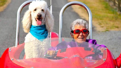 Driving Miss Norma: 3 Life Lessons For Us All