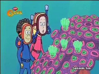 Şapkadaki Kedi   Güzel Mercanlar   TRT Çocuk