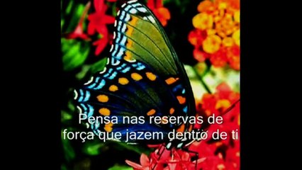 Mensagem de Esperança 19052017