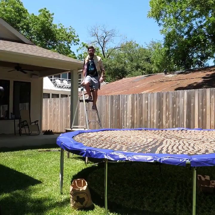 Jumping Into Hundreads Of Mousetrap