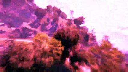 Don't fall|Farcry 4 (4)