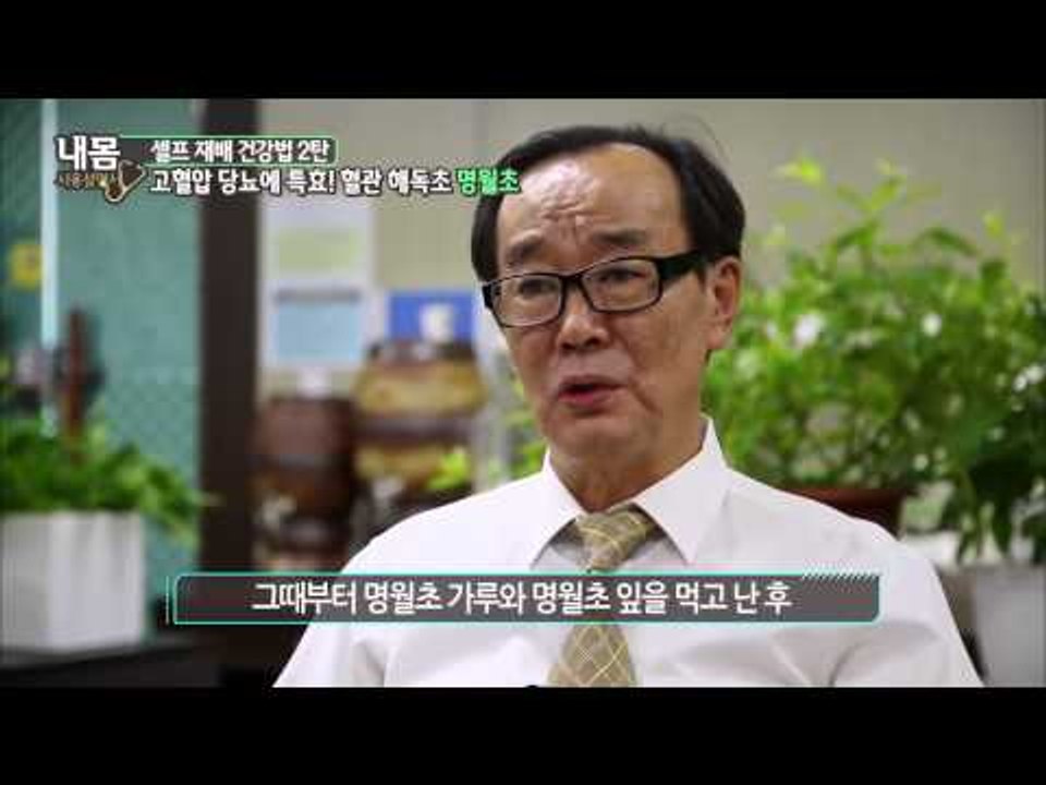 기적의 약초 명월초 [내몸설명서 22회]