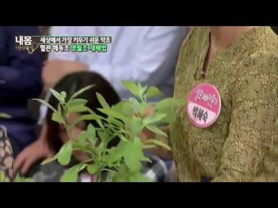 세상에서 가장 키우기 쉬운 약초 [내몸설명서 22회]