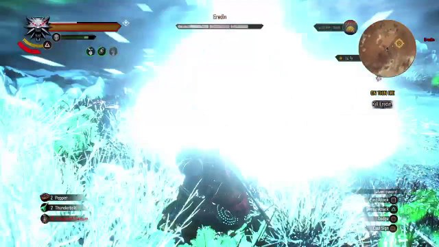 The Witcher 3 Wild Hunt boss fight Eredin 巫师3：狂猎