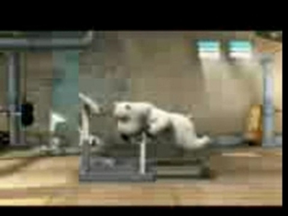 Mosconi Germano - Orso In Palestra