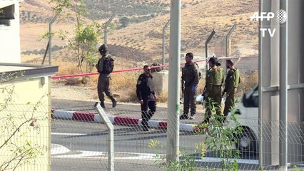 Palestino é morto após tentativa de ataque