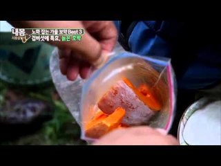 노화 잡는 가을보약 [내몸사용설명서 20회]