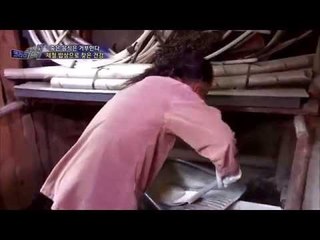 제철 밥상으로 찾은 건강 [코리아 헌터 82회]