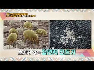 은행의 효능과 다양한 활용법 [만물상 80회]