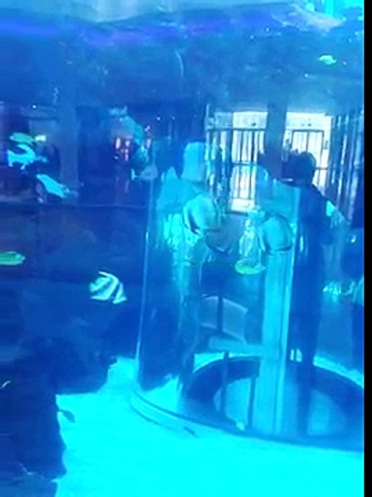 Aquarium