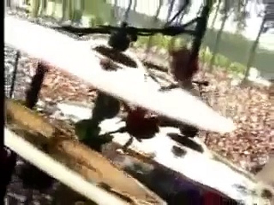 Muse - Micro Cuts, Werchter Festival, 07/01/2001