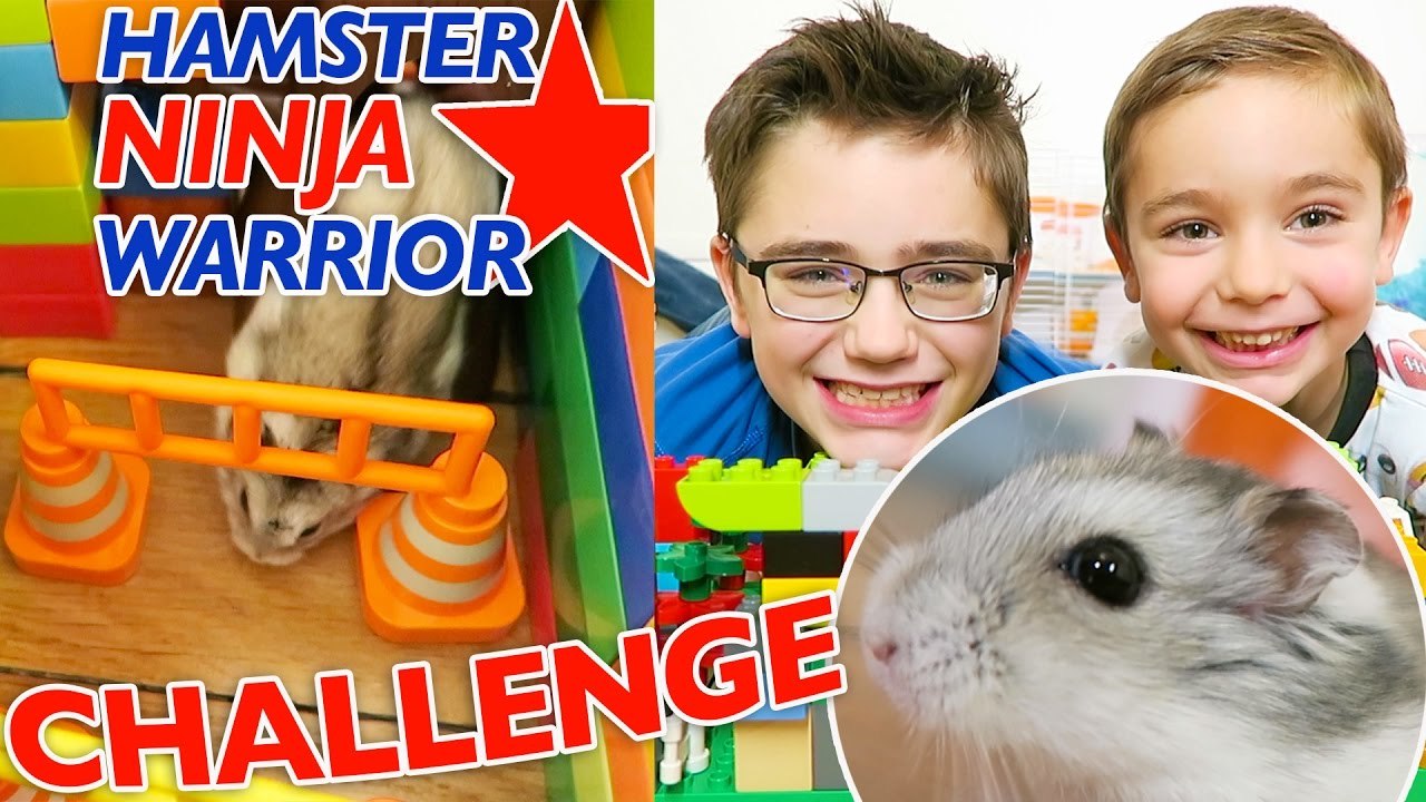 HAMSTER NINJA WARRIOR CHALLENGE - Parcours d'obstacles en Lego pour Nuts