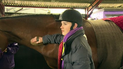 Ex racehorses provide comfort to children in need