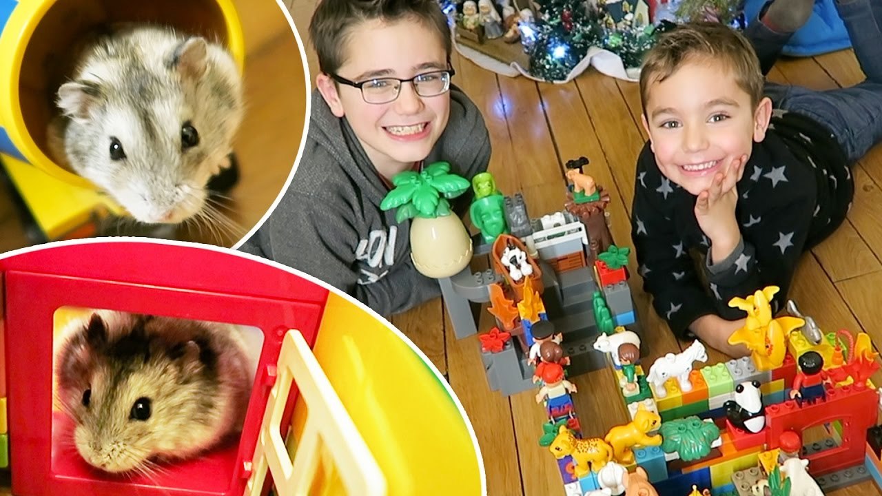 PARCOURS GÉANT EN LEGO POUR NOTRE HAMSTER
