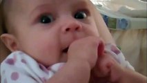 Cute Babies Laughing at Dogs Compila