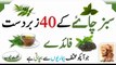 green tea benefits green benefits in urdu hindi green tea ke fayde green tea ke faide green tea