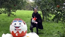 GIANT KINDER SURPRISE EGG 50 Kinder Surprises Eggs Frozen Elsa Star Wars Batman Disney Princess Toys-0Wh