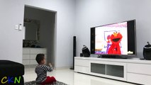 Watching Elmo's World on TV Suddenly Elmo Appears To Surprise Ckn Toys-eQXAE