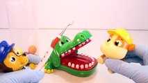 Paw Patrol Games Crocodile Dentist Challenge Game with Surprise Toys Kids Videos-as4gF0V-