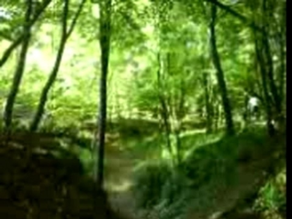 MOV00020
