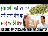 इलयाची को खाकर गर्म पानी पीने के गजब फायदे करेंगे हैरान| Benefits Of Cardamom With Warm Water