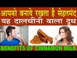 दालचीनी वाला दूध होता है बहुत गुणकारी |Benefits Of Cinnamon Milk In Hindi|Dalchini Wala Doodh