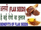 अलसी के हैं बहुत ही चमत्कारी फायदे | Flax Seeds Benefits In Hindi |Alsi Ke Fayde