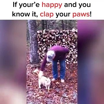 Il commence à chanter si tu es heureux et que tu le sais, tape dans tes pattes , et regardez bien la réaction du matou