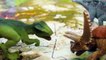 Toy Dinosaurs 4-Pack   Dinosaur Jigsaw Puzzle with Prehistoric Landscape by Schleich-Po5pqW4e