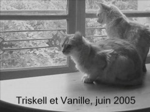 Jours tranquilles à Paris