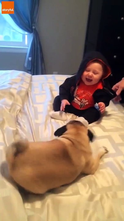 best baby funny videoes on dailymotion