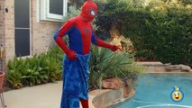 GIANT HULK EGG SURPRISE TOY OPENING w_ Spiderman vs HULK & Marvel Superheroes Toys in Fun Kids Video-cg