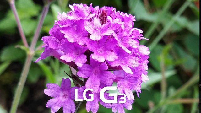 Samsung Galaxy Note 4 vs LG G3