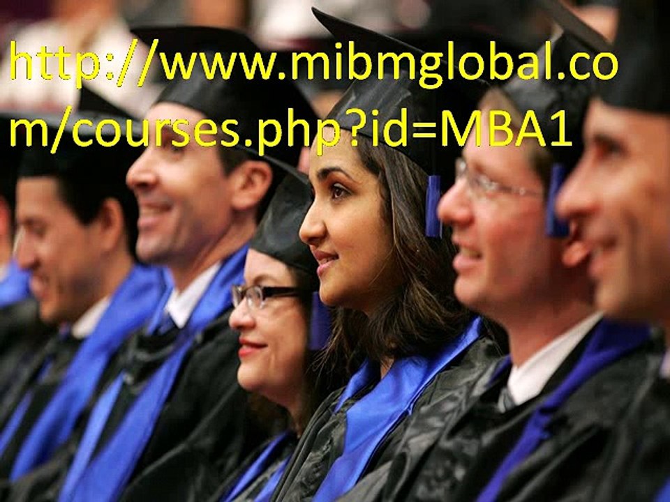 ((MIBM GLOBAL)) One year mba degree