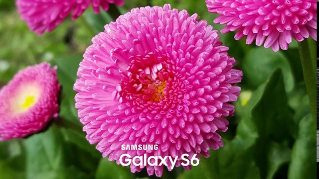 Samsung Galaxy Note 5 vs Samsung Galaxy S6 Edge Plus