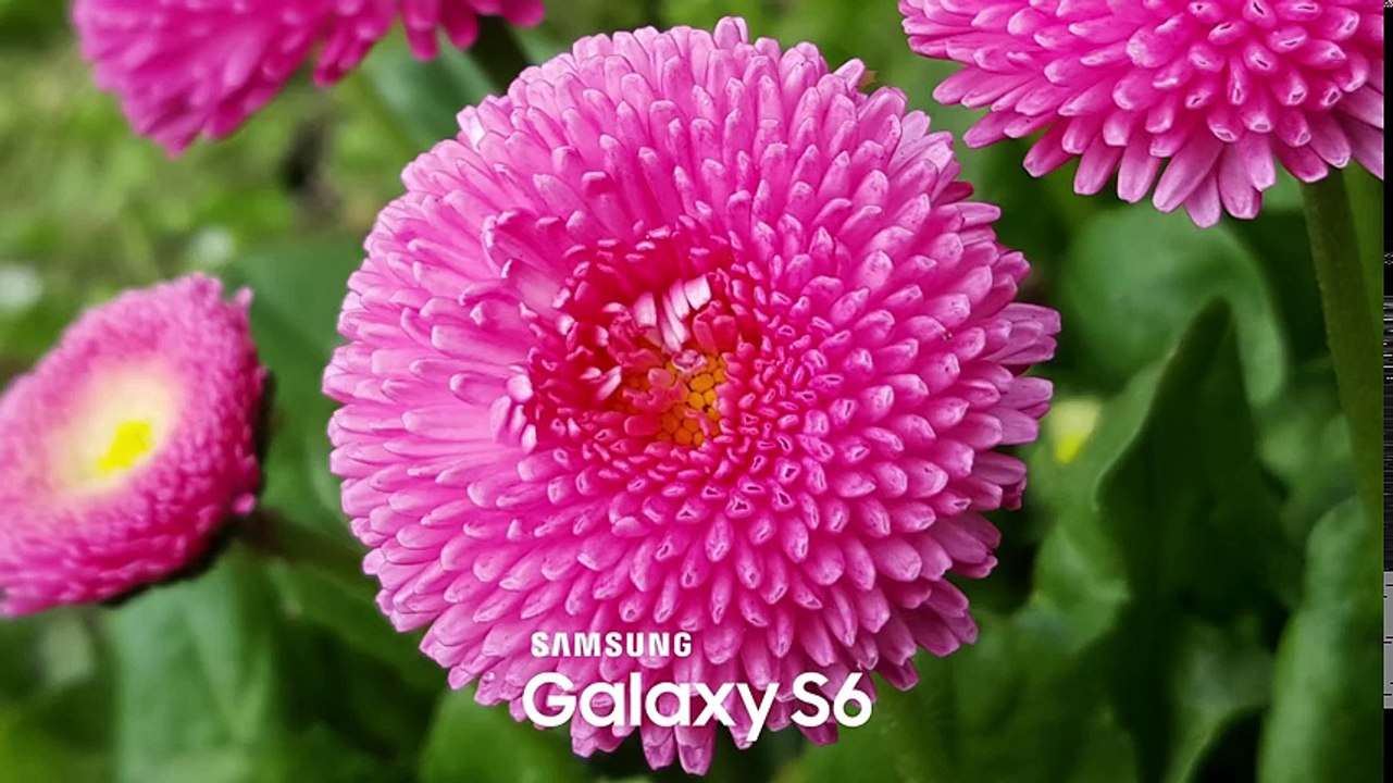 Samsung Galaxy Note 5 vs Samsung Galaxy S6 Edge Plus