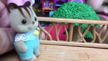 Calico Critters Kittens Ryan Plays With Liz & Bad Boy Reads Diary in a Tree House HMP Shorts Ep. 18-6UNwV9