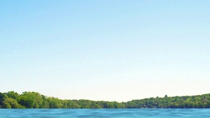 #26 공룡싸움 모사사우루스 VS 공룡가족 (Mosasaurus vs dino family) kids education, Collecta figure-9ApeC