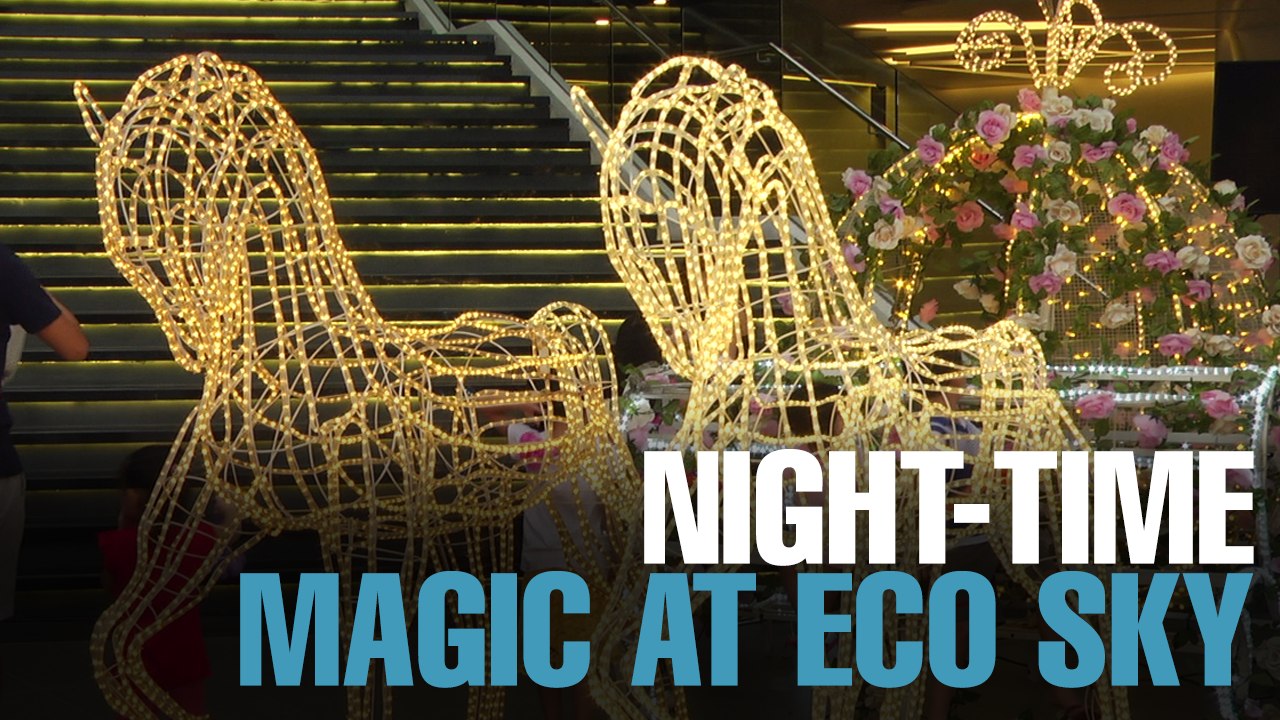 NEWS: Eco Sky creates night-time magic with flower and lights festival