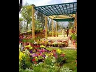 Cheap Flights from London to Islamabad - Flightsmasters.com