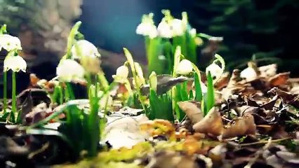 Introducing CrackVerbal's GMAT Online Course