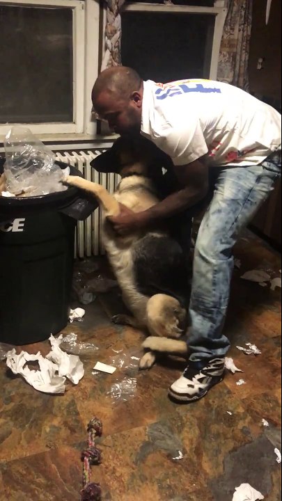 Il punit son chien comme un gamin et le fait ramasser les poubelles qu'il a renversé