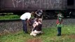 Un papa et son fils se font percuter par un train et en sortent miraculeusement sans blessure majeure