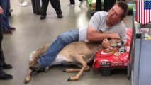Shopper holds down deer in Walmart pet aisle