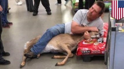 Shopper holds down deer in Walmart pet aisle