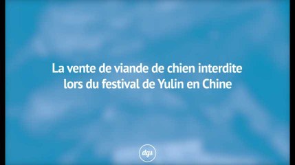 La vente de viande de chien interdite lors du festival de Yulin en Chine