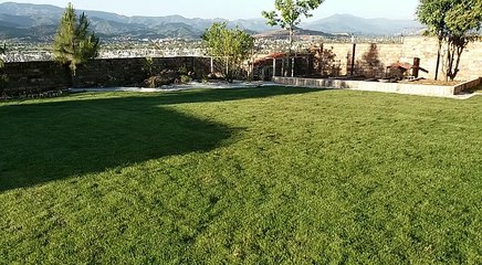 Lawn care services