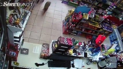 Acıkan çakal alışverişe çıktı