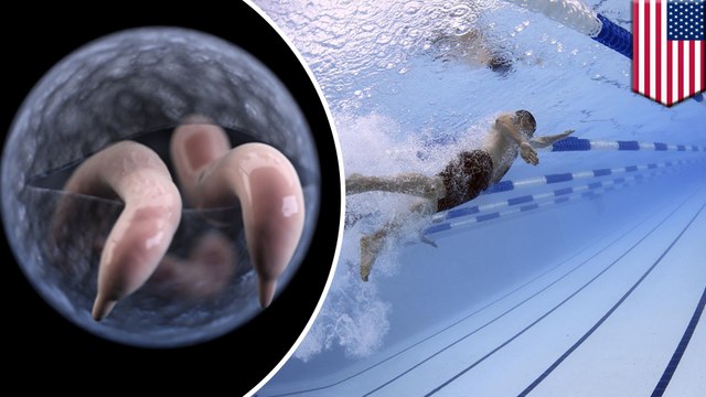 Diarrhea-causing Crypto parasite on the rise in U.S. pools, CDC warns - TomoNews